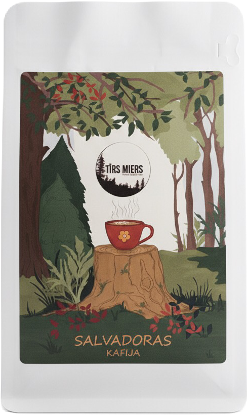 Salvadora - San Ernesto - JAUNUMS